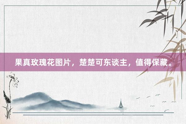 果真玫瑰花图片，楚楚可东谈主，值得保藏。