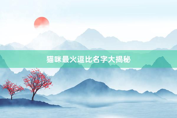 猫咪最火逗比名字大揭秘