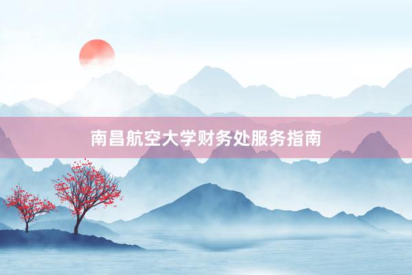 南昌航空大学财务处服务指南